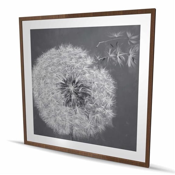Begin Home Decor C1FM4848CPB2LZ 48 x 48 in. Blowing Dandelion - Gray Framed Matted Print - Home Decor
