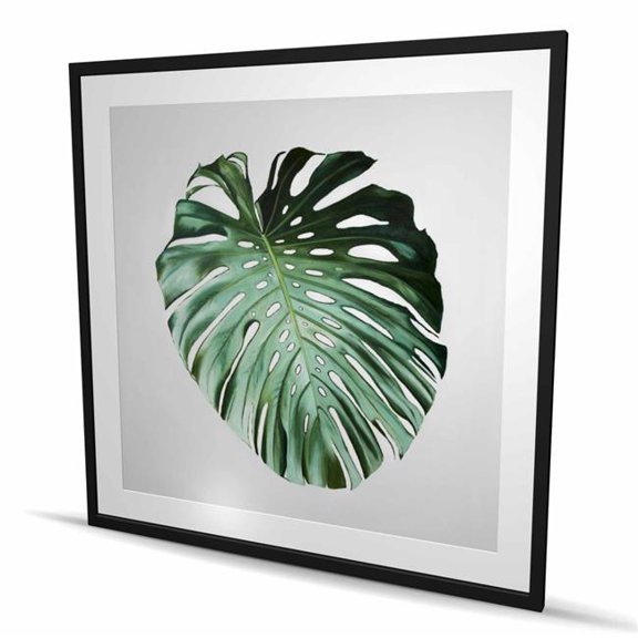 Begin Home Decor C1FM4848CVSOCL 48 x 48 in. Monstera Leaf - Exotic Framed Matted Print for Home Decor
