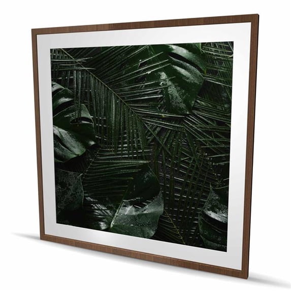 Image showcasing Begin Home Decor C1FM4848J41HHE 48 x 48 in. Tropical Jungle - Green ...