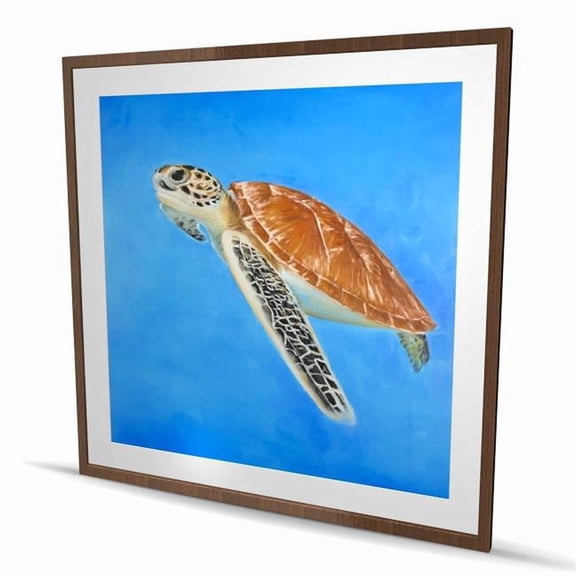 Begin Home Decor C1FM4848LFW3VS 48 x 48 in. Sea Turtle Bedroom Coastal Framed Matted Print - Home Decor