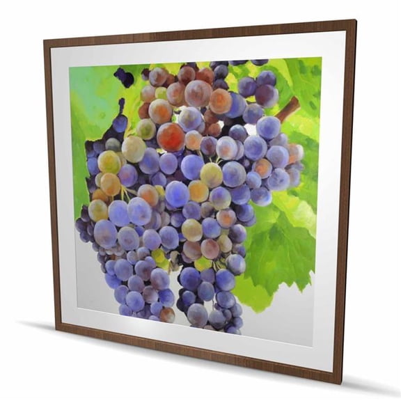 Begin Home Decor C1FM4848Z5H1S9 48 x 48 in. Bunch of Grapes - Purple Framed Matted Print for Home Decor