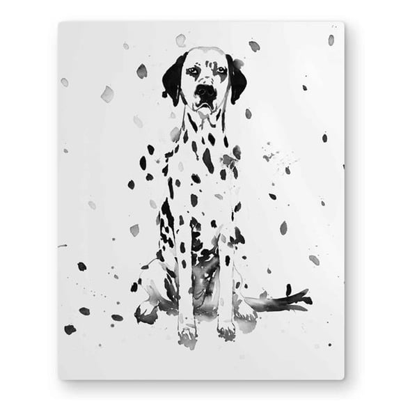 Begin Home Decor C1MP1620OI8Q39 16 x 20 in. Dalmatian Dog - White Metal Print Wall Art - Unique Art