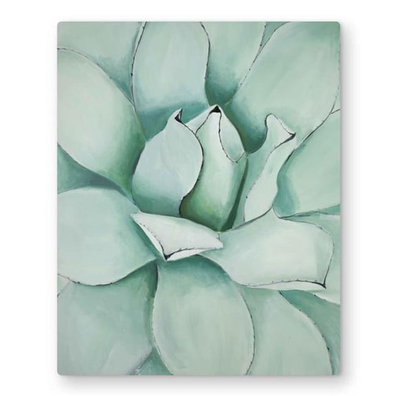Begin Home Decor C1MP1620ZSJTI1 16 x 20 in. Succulent Closeup Wall Art - Neo Mint Floral Metal Print