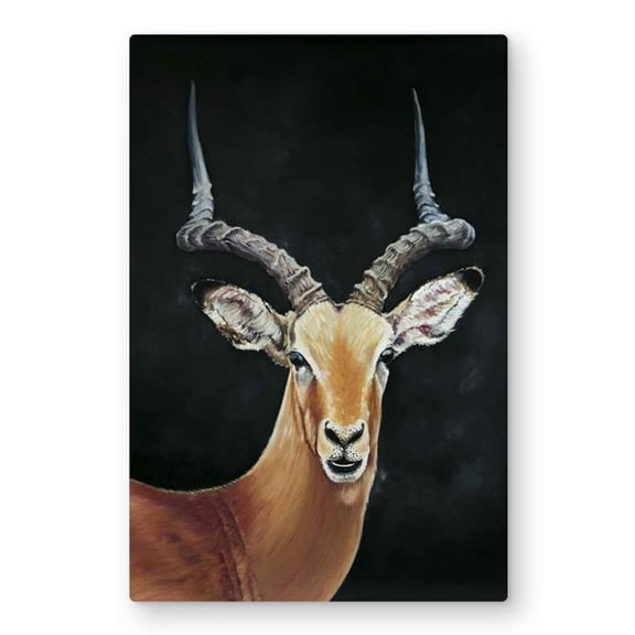 Begin Home Decor C1MP2030EWQHFM 20 x 30 in. Antelope Metal Print Wall Art - Wildlife Home Decor for Animal Lovers