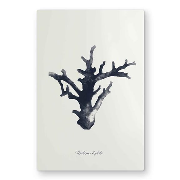 Begin Home Decor C1MP2030PTDS7A 20 x 30 in. Montipora Digitata Coastal Metal Print Wall Art - Aquatic Home Decor