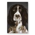 thumbnail image 1 of Begin Home Decor C1MP2436G93038 24 x 36 in. Brown English Springer Spaniel - Metal Print Wall Art for Home Decor, 1 of 1