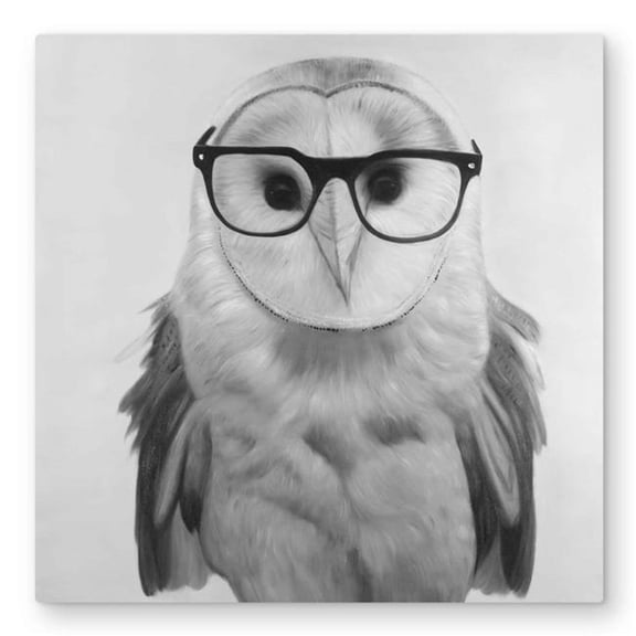 Begin Home Decor C1MP32326BSPK0 32 x 32 in. Realistic Barn Owl with Glasses - Metal Print Wall Art for Home Decor