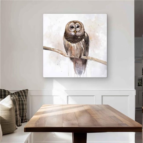 Begin Home Decor C1MP32328CP8JU 32 x 32 in. Barred Owl Wall Art - Scandinavian Feathers Metal Print