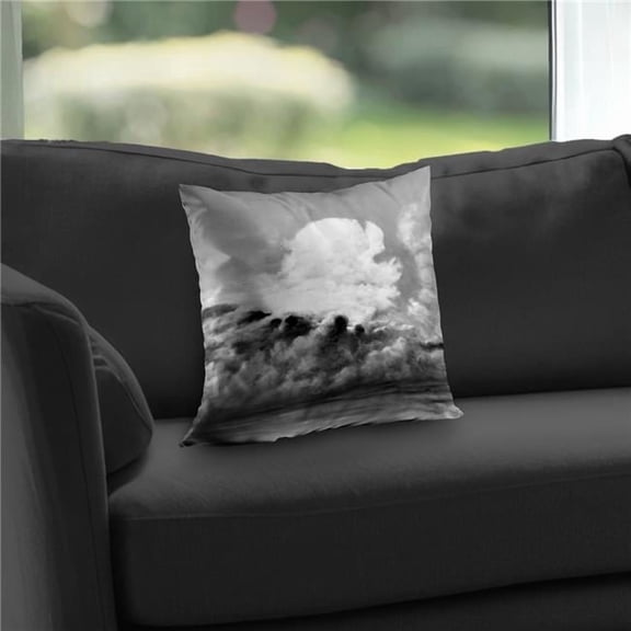 Begin Home Decor C1PC1414ALR9Q2 14 x 14 in. Clouds Black & White Bathroom Poly Twill Throw - Home Decor