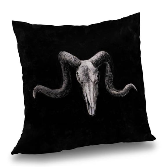 Begin Home Decor C1PT1414K68QT8 14 x 14 in. Skeleton Skulls Grunge Style Throw Pillow - Home Decor Insert