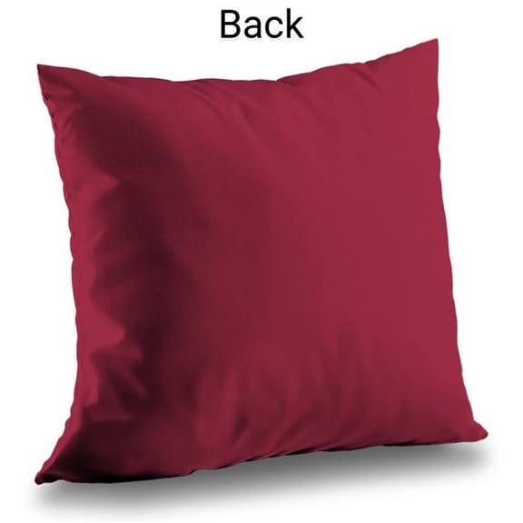 Begin Home Decor C1PT1414NOYIW5 14 x 14 in. Save Water Drink Wine Throw Pillow - Man Cave Home Decor