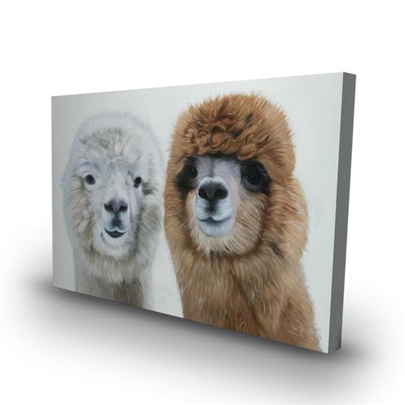 Begin Home Decor C1RC2436GRU03B 24 x 36 in. Two Lamas Canvas - Living Room Animals Home Decor Art