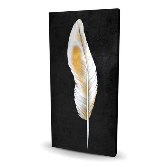 Begin Home Decor C1RC24489ZQLZL 24 x 48 in. Feather - Office Feathers Canvas for Elegant Home Decor