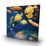 Begin Home Decor C1RC3232L3EL48 32 x 32 in. Fish Under the Sea ...