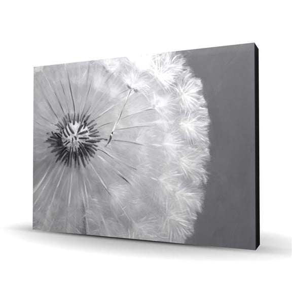 Begin Home Decor C1RC364804SLWC 36 x 48 in. Dandelion Puff Ball - Botanical White Canvas for Home Decor