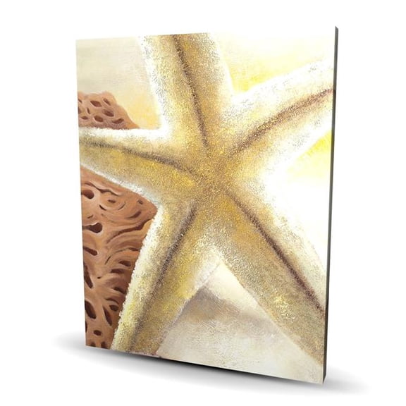 Begin Home Decor C1RC4860F5QB10 48 x 60 in. Starfish & Seashells Canvas - Brown Contemporary Home Decor