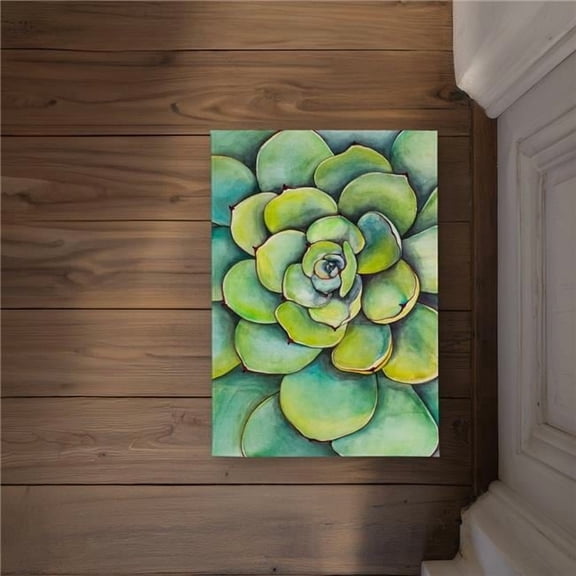 Begin Home Decor CODM17246SCHR4 17 x 24 in. Watercolor Succulent Plant Door Mat - Indoor Outdoor Decor