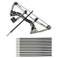 thumbnail image 1 of Beginner Compound Bow Kit - 9.5in Left/Right Hand Bow with Pulley System & 4/12 Arrows, Portable for Outdoor/Indoor Use, 1 of 5