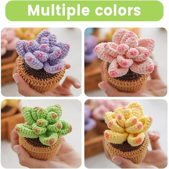 Beginner Crochet Starter Kits 4Pcs Succulent, Crochet kit for Complete Beginners Adults and Kids, Crocheting Knitting Kit