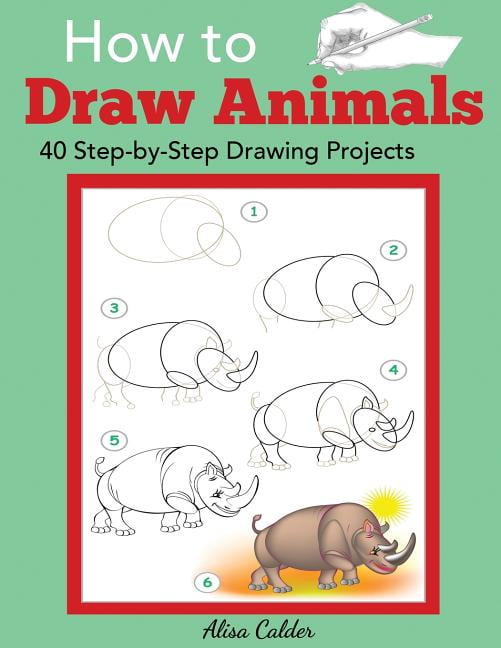 How to Draw Animals for Kids: Learn to Draw More Than 50 Animals! (Easy  Step-by-Step Drawing Guide) - Clever Kiddo Press - 9781684820177
