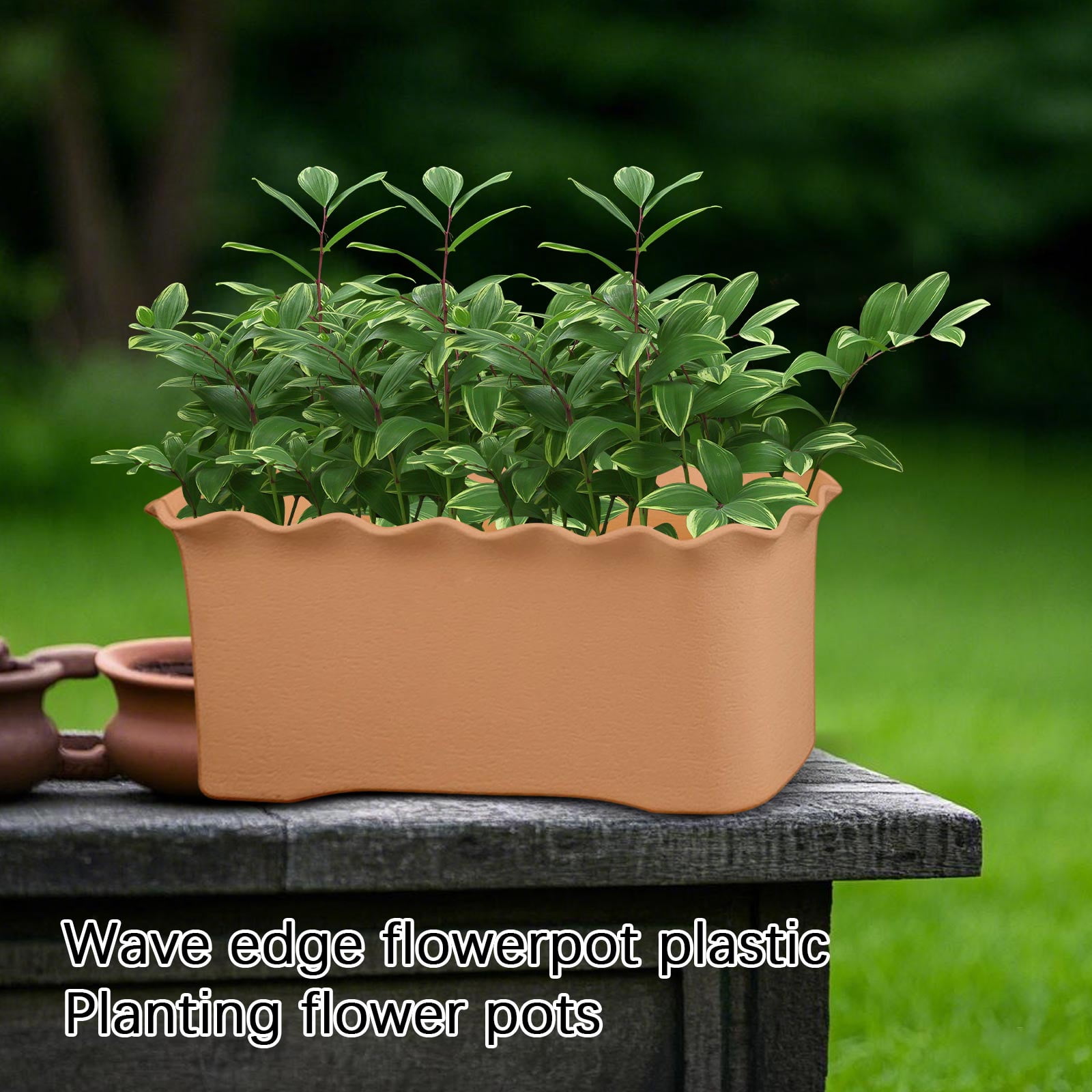 Beginner Friendly Herb Planter | 16.14in Wavy Edge Plastic Window Box, Rectangular Vegetable Planter