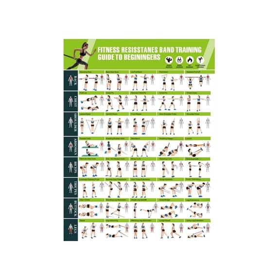 Beginner-Friendly Resistance Band Workout Poster, Illustrated Full-Body Exercise Guide For Home Gym, Muscle Building & Flexibility Wall Chart ,Green,58Cm