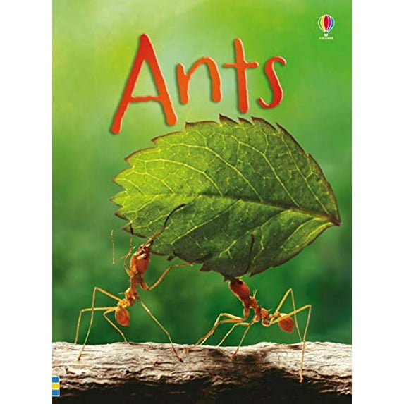 Pre-Owned Ants (Beginners) Paperback