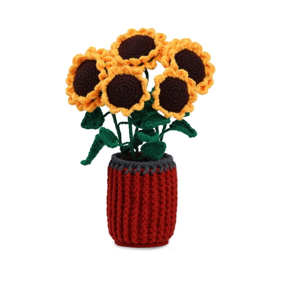 Beginners Crochet Crochet Flower with Crochet Hook, Yarn Balls, Needle, Instructions, Accessories