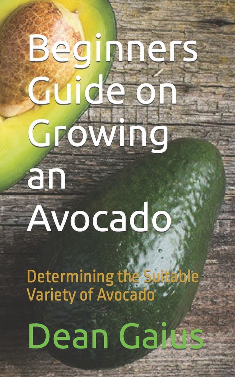 Beginners Guide on Growing an Avocado: Determining the Suitable Variety ...