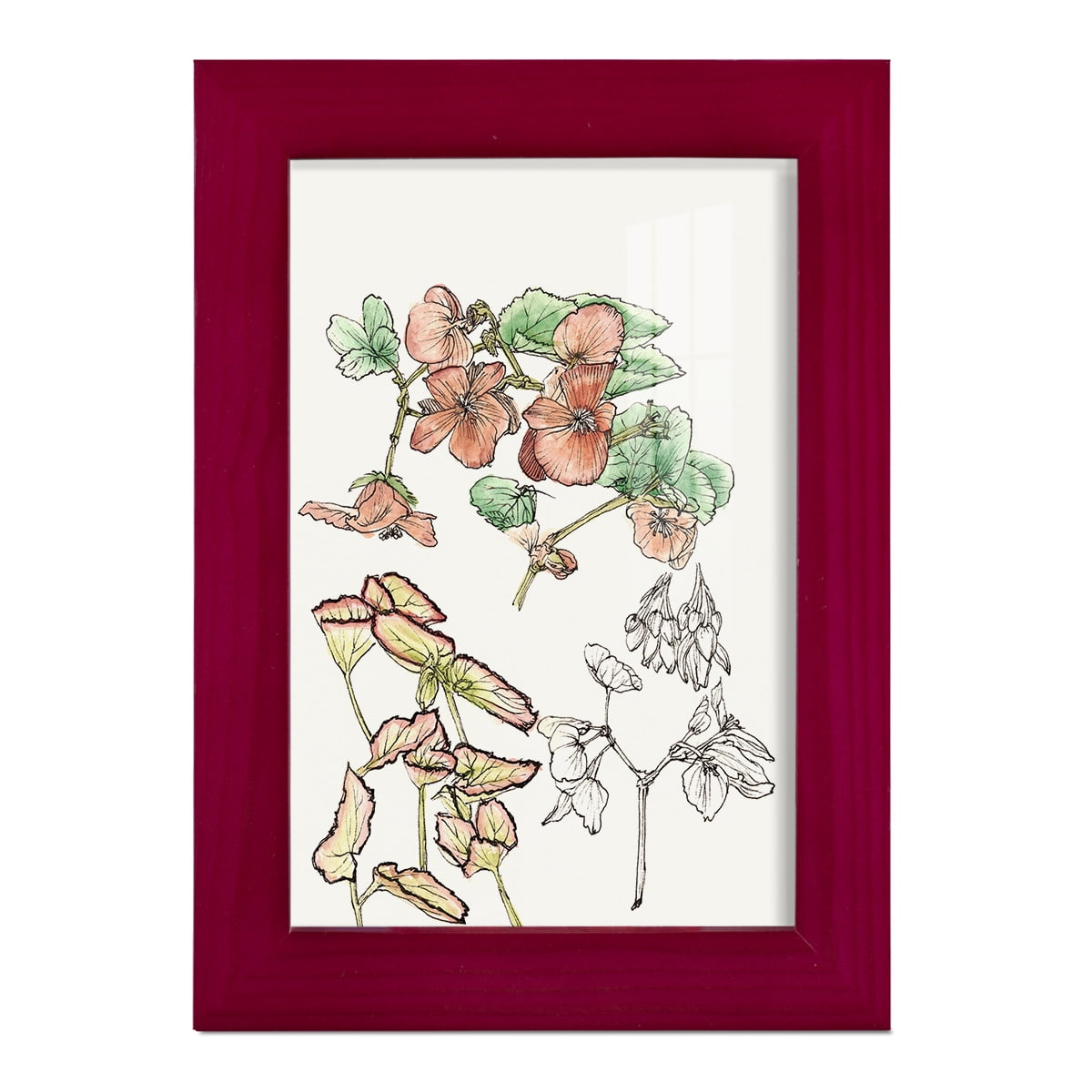 Begonia Study -Framed Print w/glass-Cherry Red