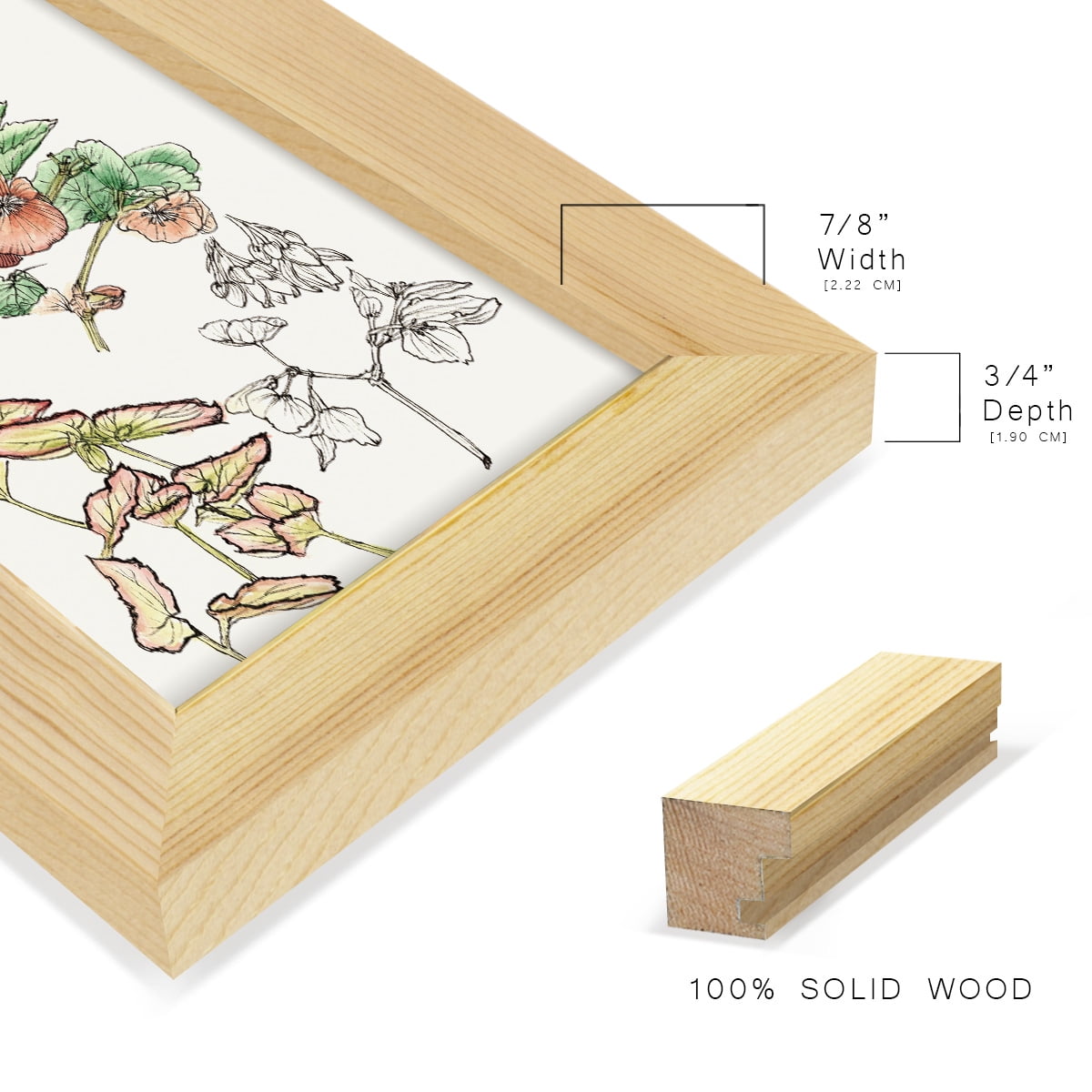 Begonia Study -Framed Print w/glass-Natural Wood