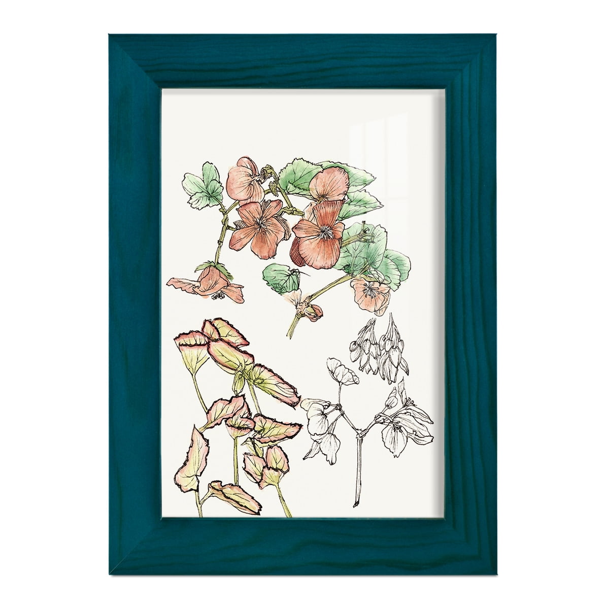 Begonia Study -Framed Print w/glass-Ocean Blue