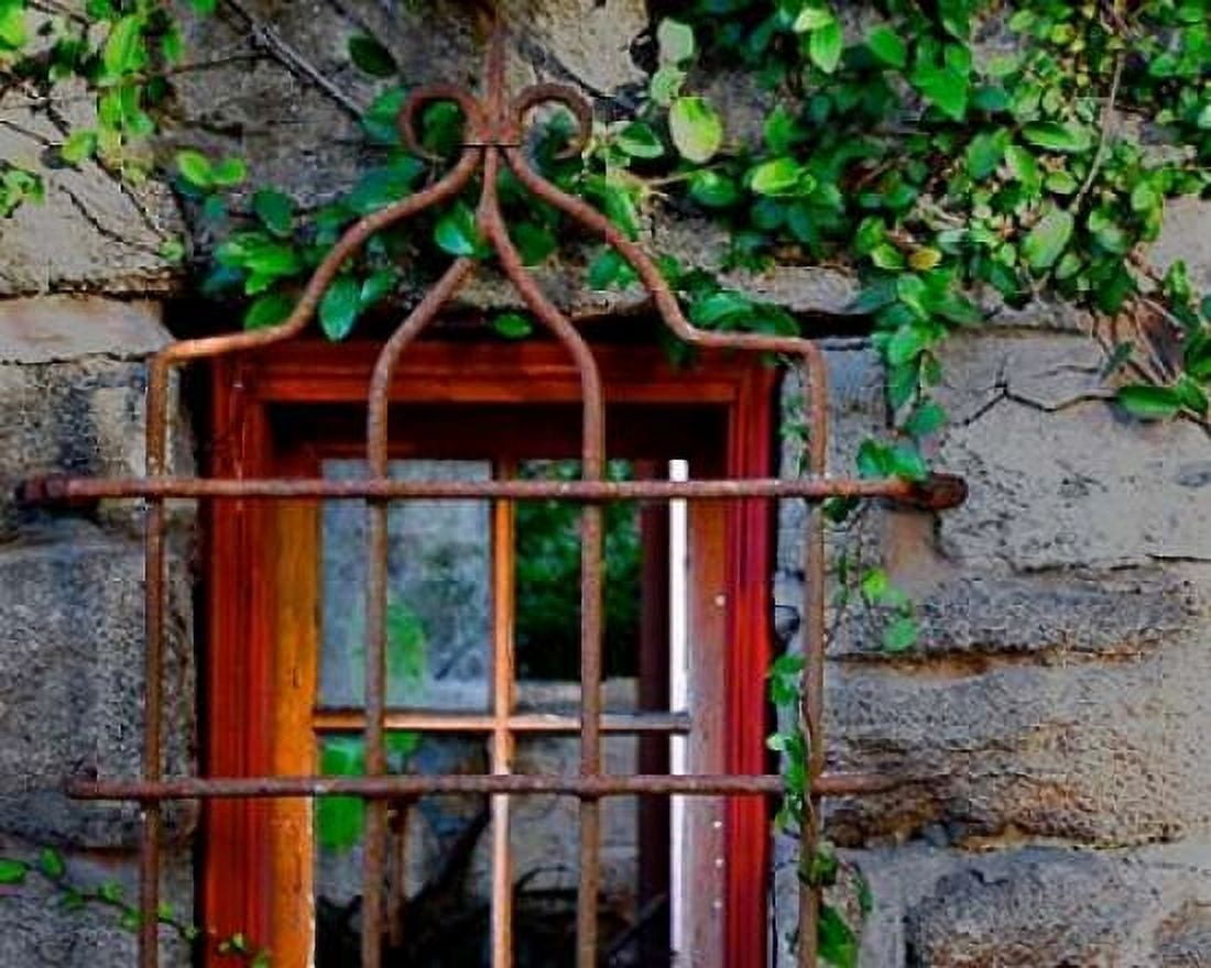 Behind Bars Canvas Art - Gail Peck (24 x 30)