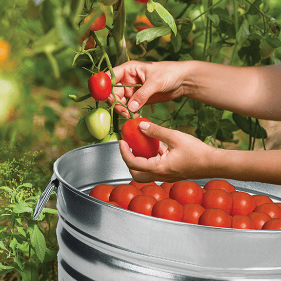 Behrens Galvanized Utility Tub Basket - Pack of 4  Residential Use, Standard Application