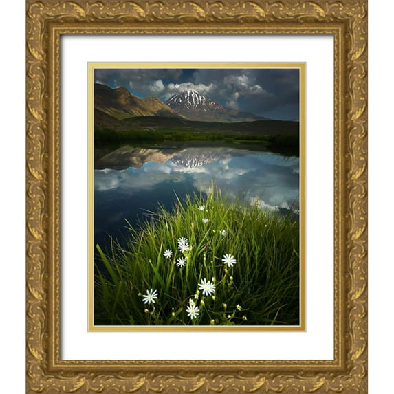 Behzad, Majid 20x24 Gold Ornate Wood Framed with Double Matting Museum Art Print Titled - Summer Theme In Alborz Heights