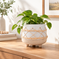 Caramic Pot Beige Brown Ceramic Planter Pot for Indoor and Outdoor and Flowers ...