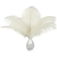 thumbnail image 1 of Beige Ostrich Feathers Bulk - 24pcs 12-14inch Cream Feathers for Vase,Wedding Party Centerpieces and Home Decor, 1 of 14