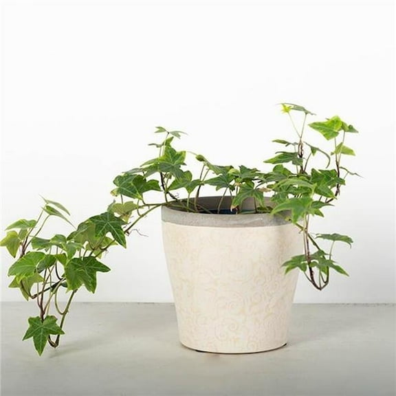 Beige Paisley Pattern with Gray Rim Planter