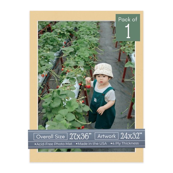 Beige Picture Frame Mat for 27x36 Frames - Fits 24x32 Photos - 1 Mat