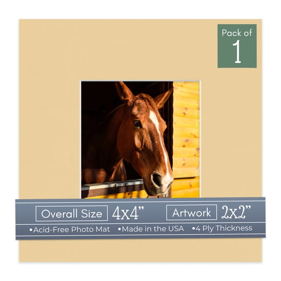 Beige Picture Frame Mat for 4x4 Inch Frames - Fits 2x2 Photos - 1 Mat