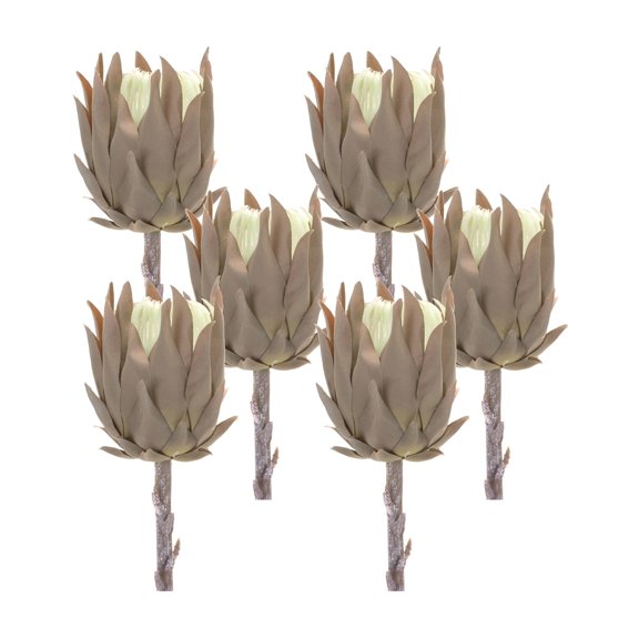 Beige Protea Stem Set - 6 Artificial Flower Stems - Home Decor Accents