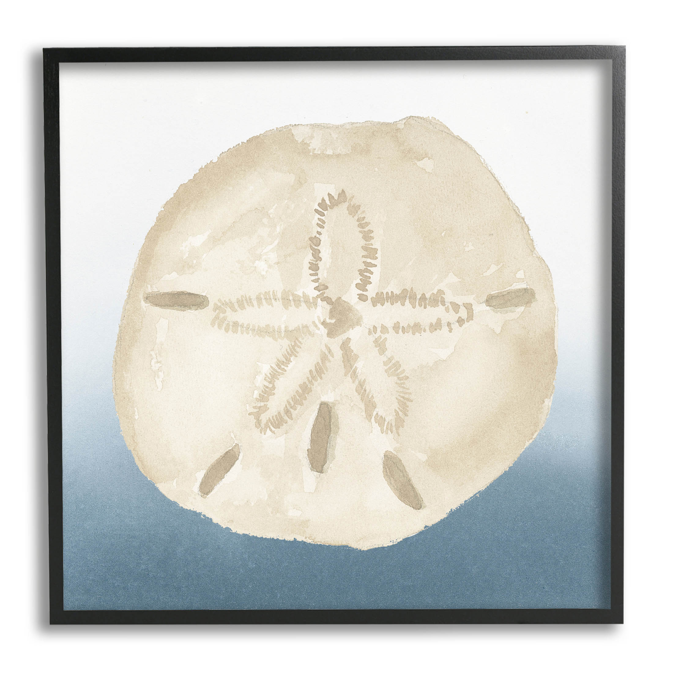 Beige Sand Dollar Seashell Animals & Insects Graphic Art Black Framed Art Print Wall Art