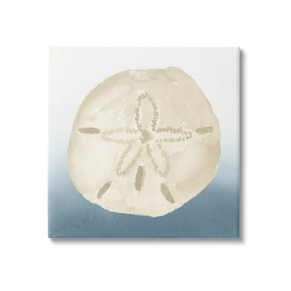 Beige Sand Dollar Seashell Animals & Insects Graphic Art Gallery Wrapped Canvas Print Wall Art