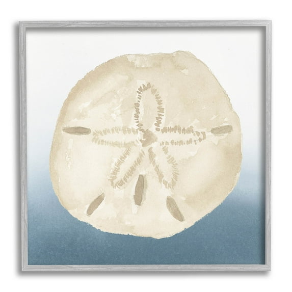 Beige Sand Dollar Seashell Animals & Insects Graphic Art Gray Framed Art Print Wall Art
