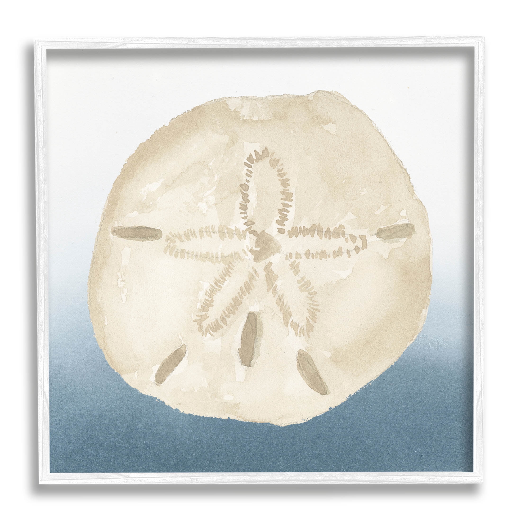 Beige Sand Dollar Seashell Animals & Insects Graphic Art White Framed Art Print Wall Art