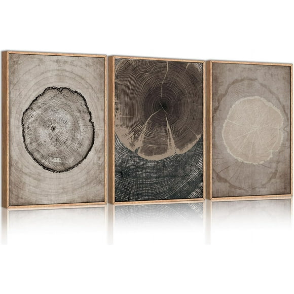 Beige Tree Ring Framed Canvas Wall Art Set, Modern Wood Stump Wall Decor, Abstract Black and White Wall Painting, Neutral Nature Art Print for Living Room, Bedroom, Office - 16"x24"x3