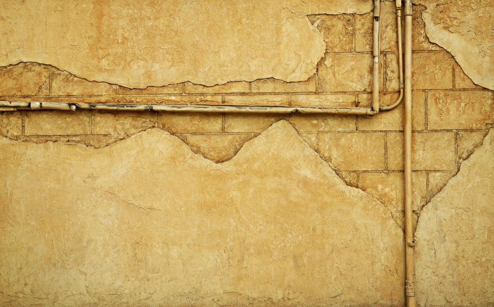 Beige Wall Canvas Art - Con Tanasiuk Design Pics (38 x 24)