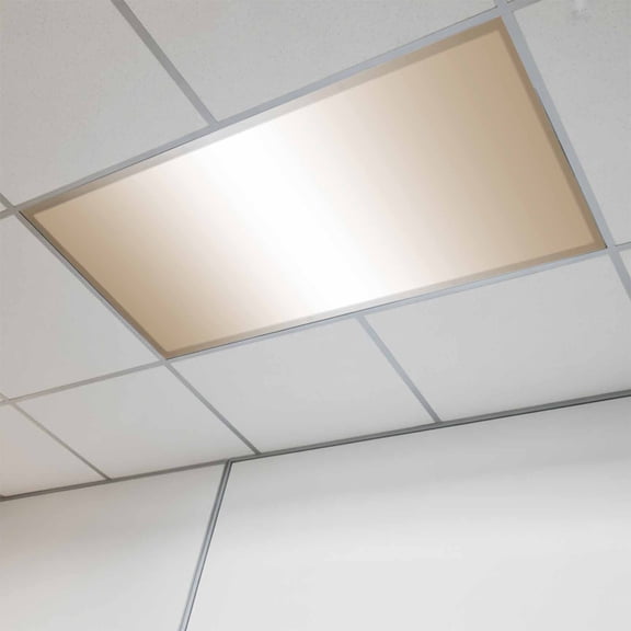 Beige White Ombre Fluorescent Light Covers, Modern Gradient Abstract Art Magnetic Light Covers for Ceiling Lights, Fluorescent Ceiling Shade Filters for Classroom Bedroom Office 4x2Ft x 1PCS