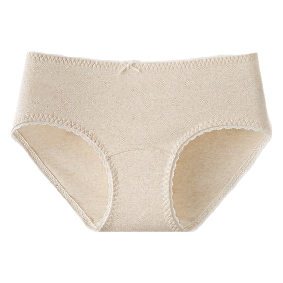 Beige Women's Panties Seamless Panties No Show Underwear With Extended Gusset Full Coverage Soft Comfort Fit nylon