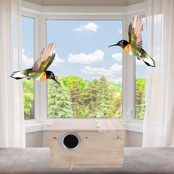 Beige Wood Bird House for Window with Small Entrance Protecting Birds from Wind and Predators